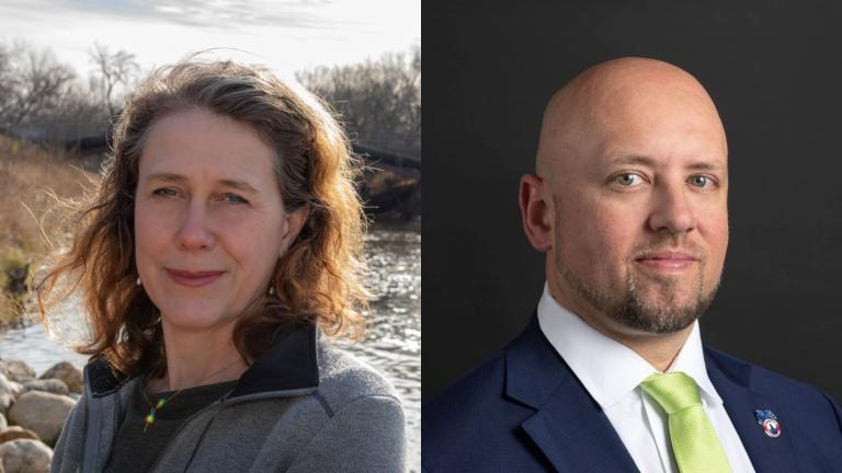 Challenger Sharon Waller bested incumbent Daniel “Pogo” Pogorzelski in the Democratic race to claim a seat on the Metropolitan Water Reclamation District’s board of commissioners. (Provided)