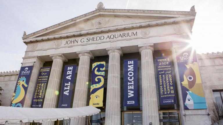 (© Shedd Aquarium / Brenna Hernandez)