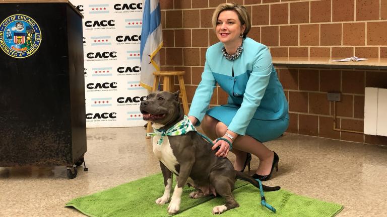 Chicago Animal Care and Control Executive Director Kelley Gandurski poses for a picture with Ashley, a 6-year-old stray dog available for adoption. (Alex Ruppenthal / WTTW) 