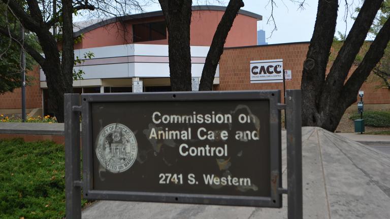 Chicago Animal Care and Control, 2741 S. Western Ave. (Alex Ruppenthal / Chicago Tonight)