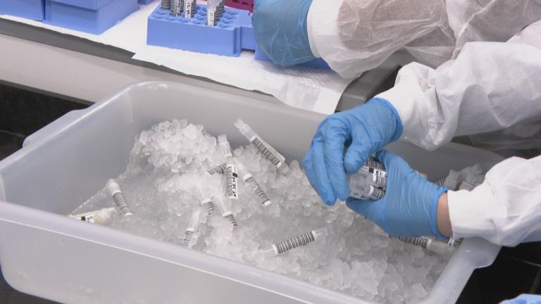 COVID-19 saliva tests are organized at a SHIELD Illinois testing facility in North Chicago. (WTTW News)