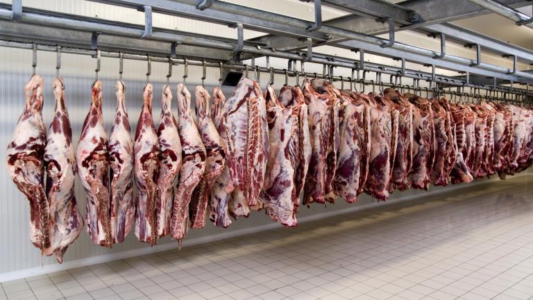 A beef-processing plant (istanbulimage / iStock)