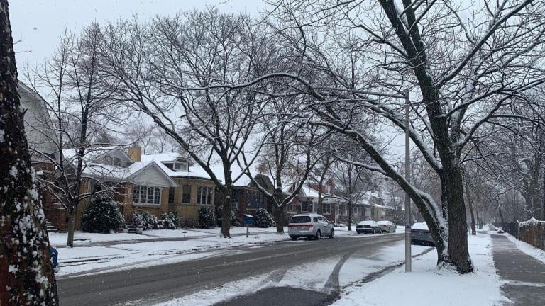 Snow falls in the North Park neighborhood on Jan. 25, 2023. (Dan Lambert / WTTW News)