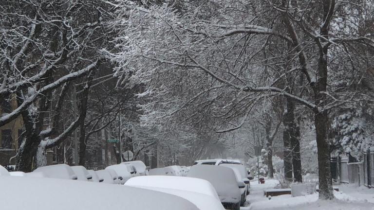 Get ready for another round of snow, Chicago. (Patty Wetli / WTTW News) Get ready for another round of snow, Chicago. (Patty Wetli / WTTW News)