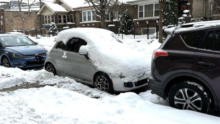 Record snowfall blanketed Chicago over the Thanksgiving weekend. (Patty Wetli / WTTW News)
