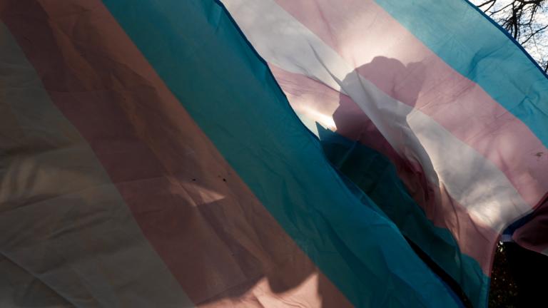 A protester is silhouetted against a trans pride flag during a pro-transgender rights protest outside of Seattle Children's Hospital, Feb. 9, 2025, in Seattle. (AP Photo / Lindsey Wasson, file)