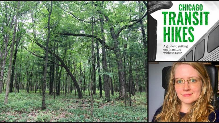 "Chicago Transit Hikes" showcases trails accessible via CTA, Metro or the South Shore Line. (Credits: Patty Wetli / WTTW News; Belt Publishing; Lindsay Welbers)