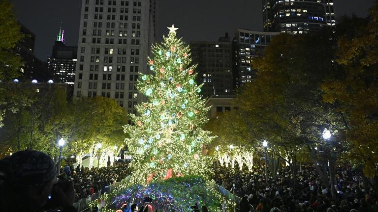 Chicago’s Christmas tree will light up Millennium Park throughout the holiday season. (Walter S. Mitchell III / City of Chicago)