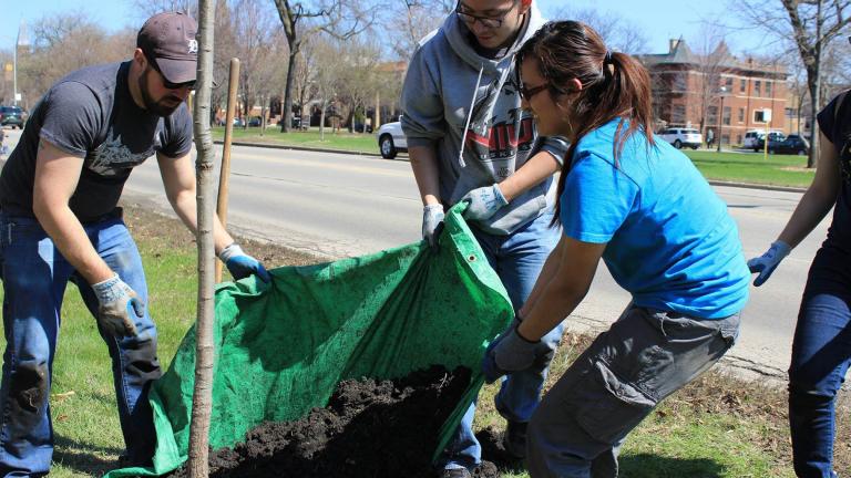 TreeKeepers are active in their communities, organizing tree plantings, adopting trees and maintaining parks. (Openlands / Facebook)