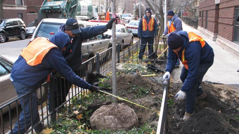 The mayor announced Thursday the city's Bureau of Forestry would plant 3,000 new trees this year. (Streets and Sanitation Department)