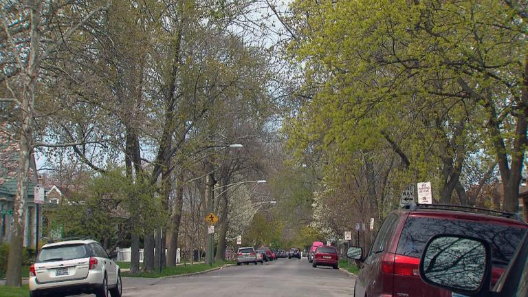 Chicago is set to invest $46 million in tree planting over the next five years. But the distribution of trees throughout Chicago is far from equal. (WTTW News)