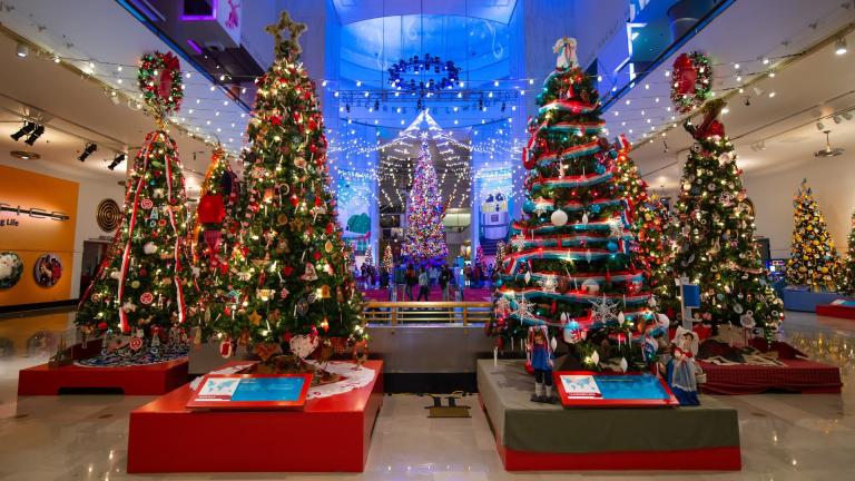 (Photo by Heidi Peters / Museum of Science and Industry, Chicago)