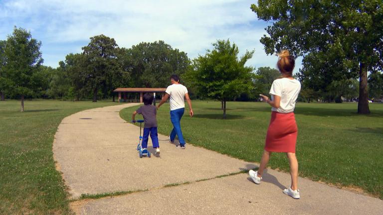 Currently, the city’s tree canopy cover is at 16%, a 3 percentage point decrease since 2010, according to a 2020 census of Chicago’s trees led by the Morton Arboretum. (WTTW News)