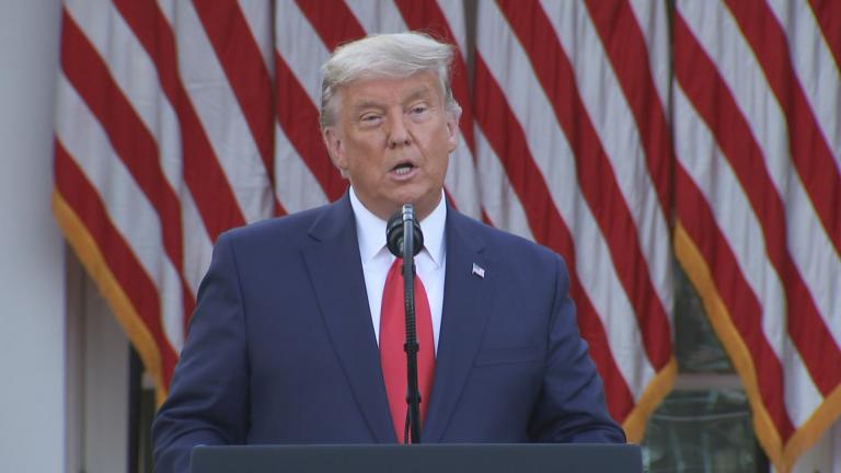 President Donald Trump speaks in the Rose Garden of the White House on Friday, Nov. 13, 2020. (WTTW News via CNN)