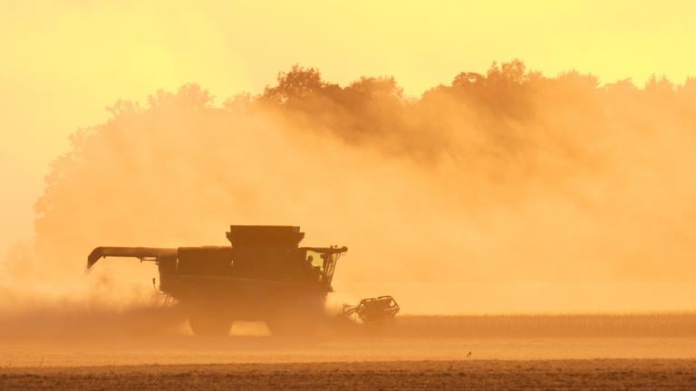 Soybeans are harvested on the Warpup Farm in Warren, Ind., Wednesday, Sept. 17, 2025. (AP Photo / Michael Conroy)