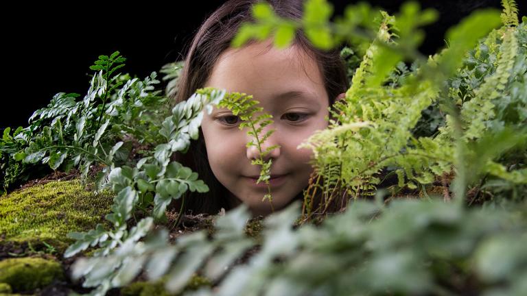 Peek into hanging terrariums for an ant’s-eye view of nature with the “Local Homes: Nature in Your Backyard installation" by artist Vaughn Bell at the Unearth Science festival. (Chicago Botanic Garden)