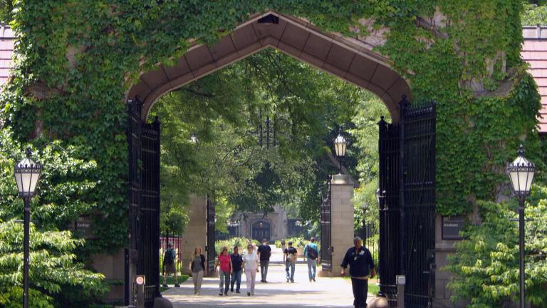 The University of Chicago campus. (WTTW News)