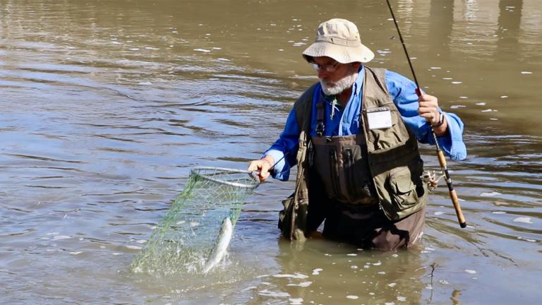 Fisherman Vic Basil nets a rainbow trout he caught from Rock Creek, March 20, 2022, the second day of Illinois’ spring trout catch-and-release period. (Evan Garcia / WTTW News)