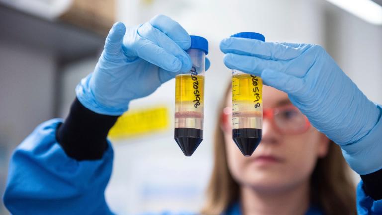 In this undated photo issued by the University of Oxford, a researcher in a laboratory at the Jenner Institute in Oxford, England, works on the coronavirus vaccine developed by AstraZeneca and Oxford University. (University of Oxford / John Cairns via AP) In this undated photo issued by the University of Oxford, a researcher in a laboratory at the Jenner Institute in Oxford, England, works on the coronavirus vaccine developed by AstraZeneca and Oxford University. (University of Oxford / John Cairns via AP)