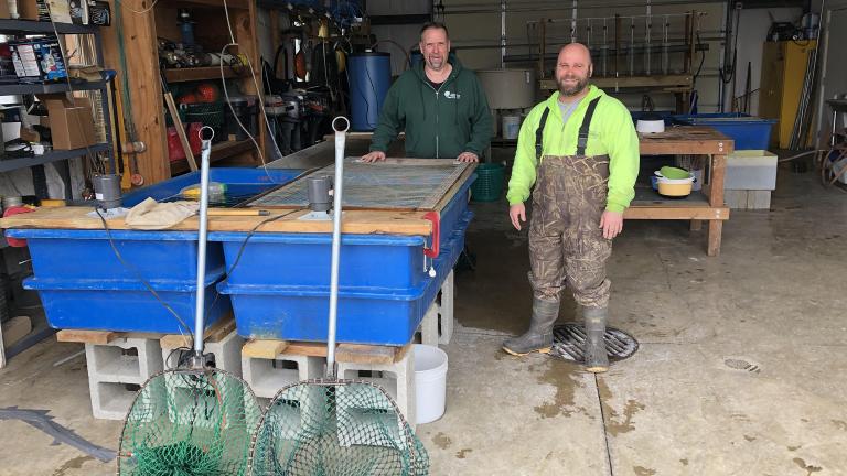 Cook County Fisheries biologists Jim Phillips and Steve Silic in the walleye hatchery.