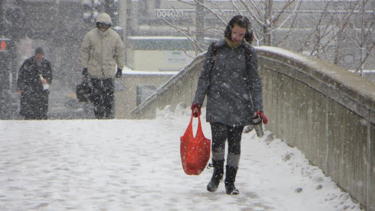 Winter in Chicago, 2013 (David Wilson / Wikimedia Commons)