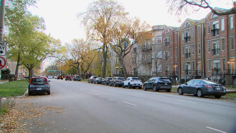 Washington Park is nestled between Hyde Park, Woodlawn and Englewood. It’s home to the DuSable Museum of African American History and to the former Schultz Baking Company. (WTTW News)