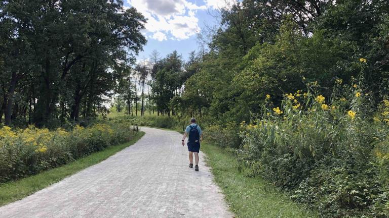 The Forest Preserve District of DuPage County maintains 175 miles of trails, including this path at Waterfall Glen. (Patty Wetli / WTTW News)