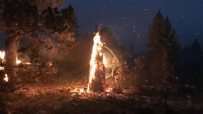 In this photo provided by the Bootleg Fire Incident Command, the Bootleg Fire burns at night near Highway 34 in southern Oregon on Thursday, July 15, 2021. (Jason Pettigrew / Bootleg Fire Incident Command via AP)