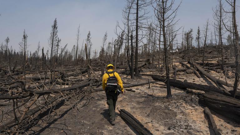 Marcus Kauffman, public information officer with the Bootleg Fire, walks through burn damage near the Northwest containment line on Friday, July 23, 2021, near Paisley, Ore. (AP Photo / Nathan Howard)