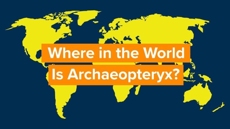 A graphic that says “Where in the World is Archaeopteryx”? (Nicole Cardos / WTTW News)