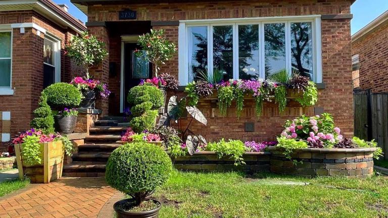 West Lawn residents Mitzi and Gilberto Cantu won the window/planter box category in the Chicago Bungalow Association’s 2021 garden contest. (Chicago Bungalow Association)