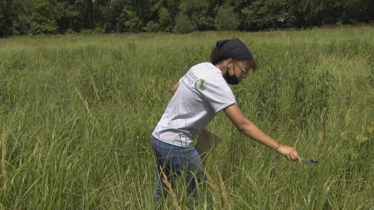 A participant in the Nature Conservancy’s Youth Environmental Thinkers program is pictured. (WTTW News)