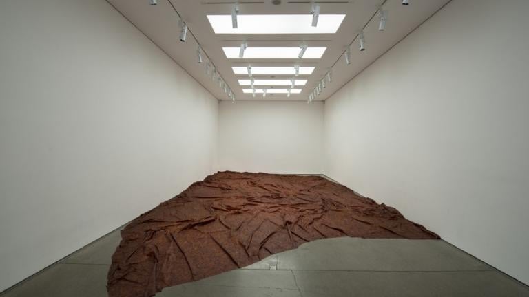 Doris Salcedo, A Flor de Piel, 2011–12, Rose petals and thread; photo: Photo: Hugo Glendinning