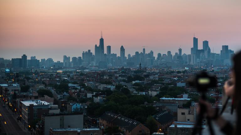 (Photo by Brad Knight on Unsplash)