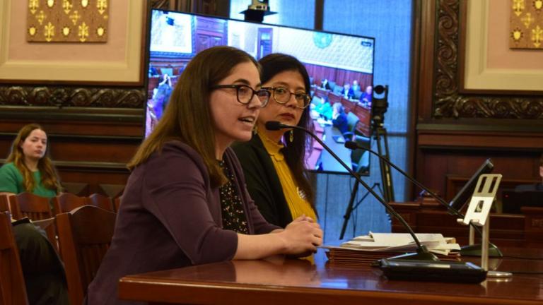Emily Coffey, senior counsel of the Chicago Lawyers’ Committee for Civil Rights, speaks beside state Sen. Karina Villa, D-Chicago, during a Senate Executive Committee in the Statehouse on May 14, 2025. (Jade Aubrey / Capitol News Illinois) 