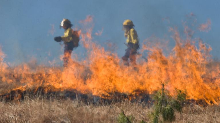 Chicago’s hazy skies are due to wildfires in the West. (Steve Buissinne / Pixabay) Chicago’s hazy skies are due to wildfires in the West. (Steve Buissinne / Pixabay)