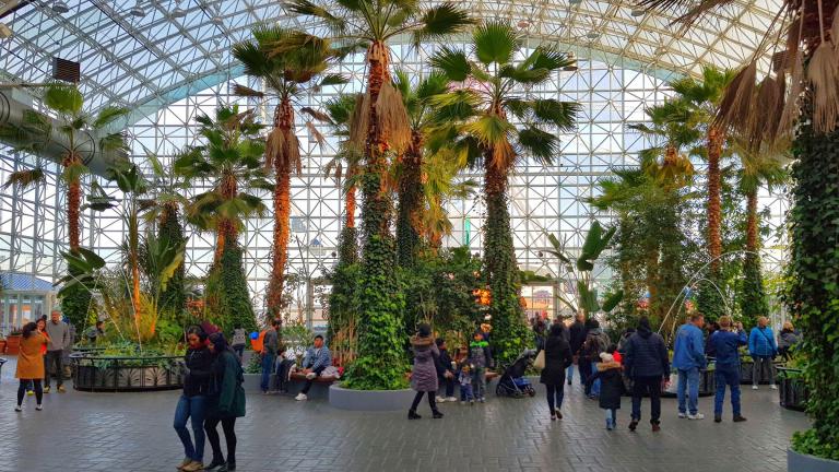The Crystal Gardens is pictured at Navy Pier in Chicago. (Peter Griffin / Alamy)