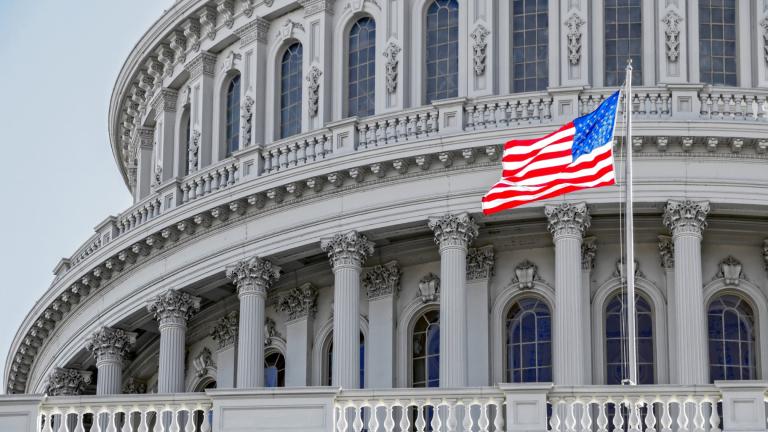 The U.S. Capitol building. (Mesut Dogan / iStock) 