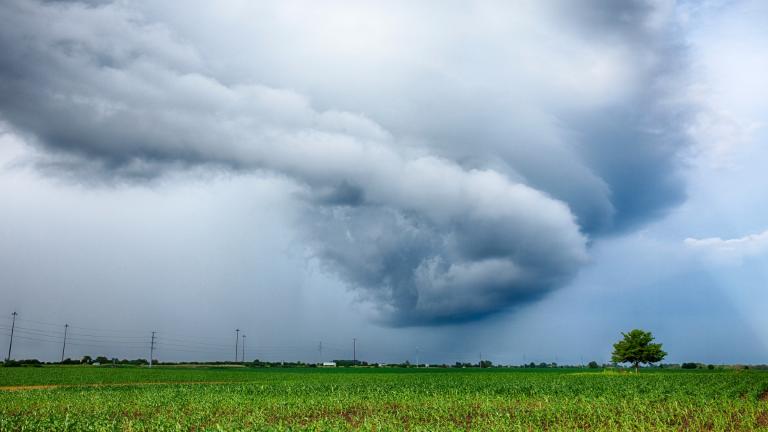 A storm cloud spins over a corn field in central Illinois in a file photo. (searagen / iStock)