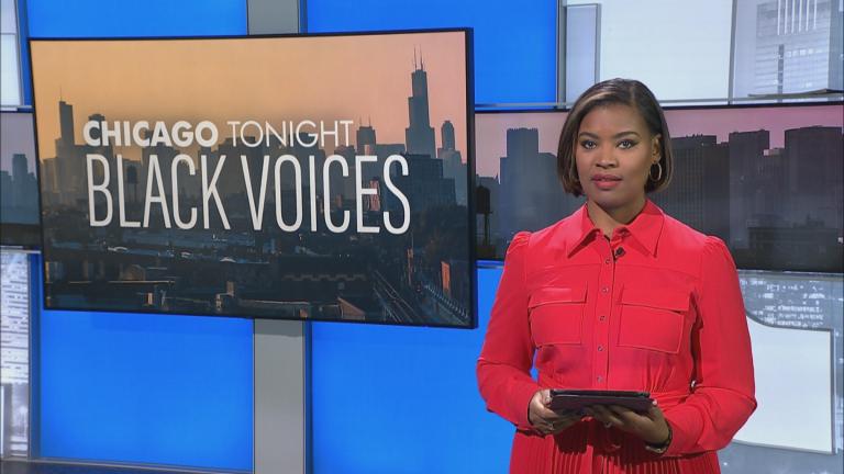 Brandis Friedman. (WTTW News)