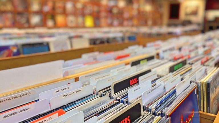 Sift through thousands of records at the CHIRP Record Fair. 