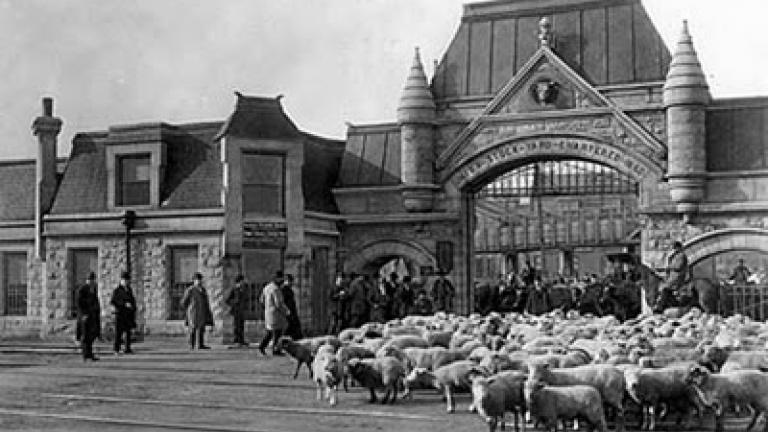 Chicago's Union Stockyards