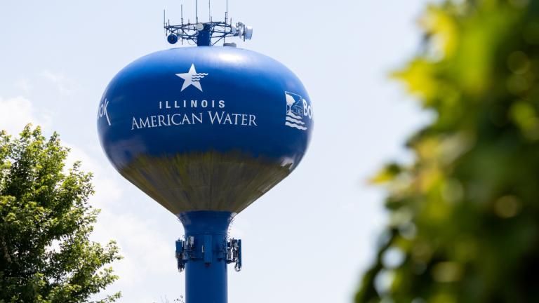 An Illinois American Water water tower is pictured in Bolingbrook. (Andrew Adams / Capitol News Illinois)