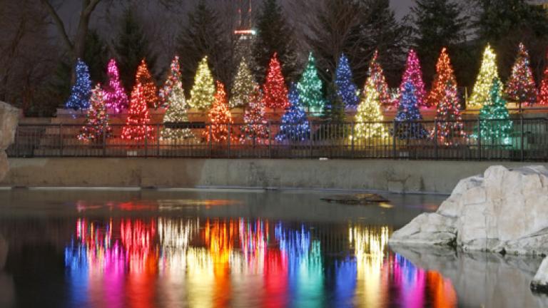 ZooLights. Courtesy of the Lincoln Park Zoo.