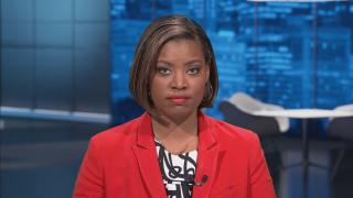 (WTTW News)