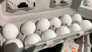 Eggs are displayed at a grocery store in Philadelphia, Tuesday, July 12, 2022. AP Photo / Matt Rourke)