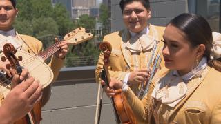 Members of Mariachi Herencia de Mexico (WTTW News)