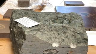 One of the fossilized meteorites just unpacked at the Field Museum, July 11, 2022. (Patty Wetli / WTTW News)