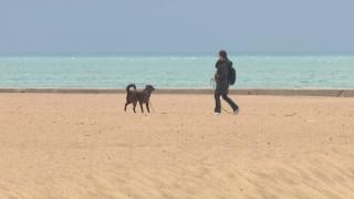 A person walking a dog along the Chicago lakefront. (WTTW News)