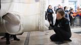 A beluga whale en route to her new home at Shedd Aquarium in Chicago, Aug. 13, 2026. (Gavin Wright / Shedd Aquarium)